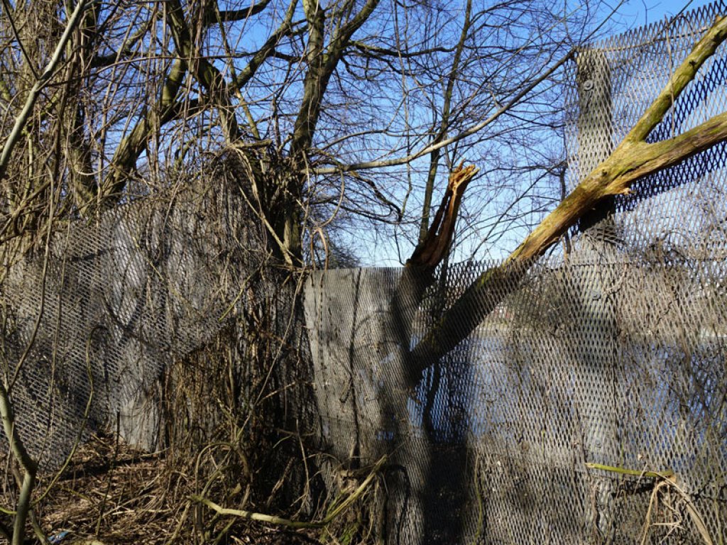 Streckmetallgitterzaun als vorderstes Sperrelement der DDR-Grenzanlagen am Teltowkanal zwischen Teltow-Seehof und Berlin-Lichterfelde (5); Aufnahme 2015