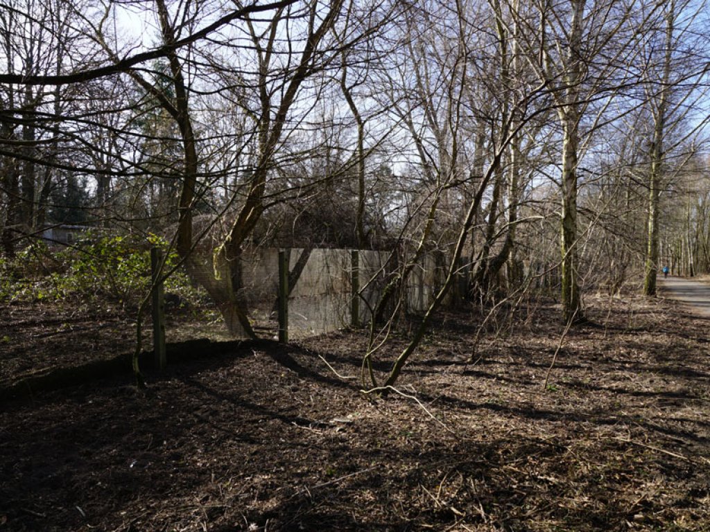 Sperrzaun aus Streckmetallgitter im Todesstreifen der DDR-Grenzanlagen zwischen Teltow-Seehof und Berlin-Lichterfelde; Aufnahme 2015