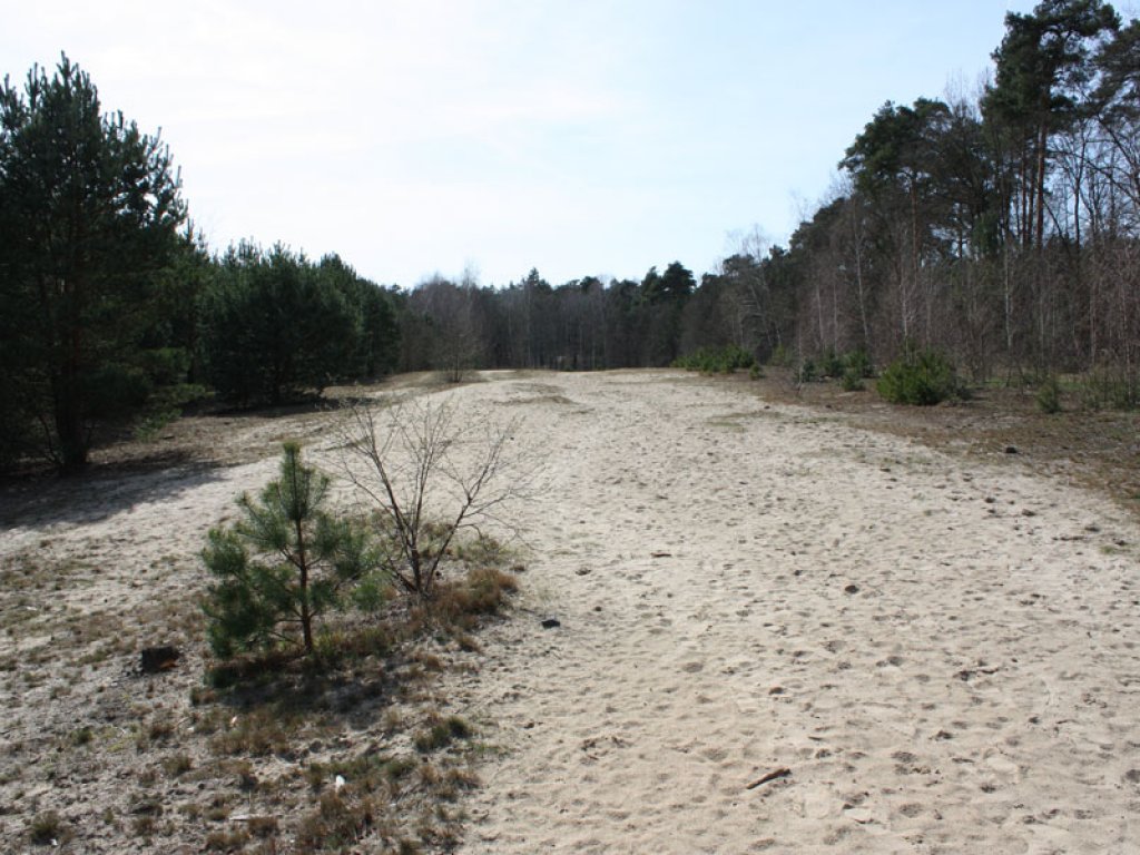 Todesstreifen der DDR-Grenzanlagen als Sandwüste zwischen Kleinmachnow und Berlin-Zehlendorf (2); Aufnahme 2015