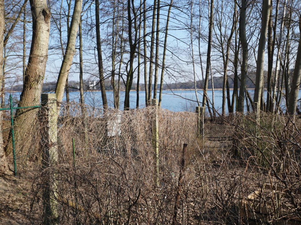 Betonpfostenreihen von Sicherungszäunen der DDR-Grenzanlagen auf der Halbinsel Meedehorn bei Sacrow (2); Aufnahme 2015