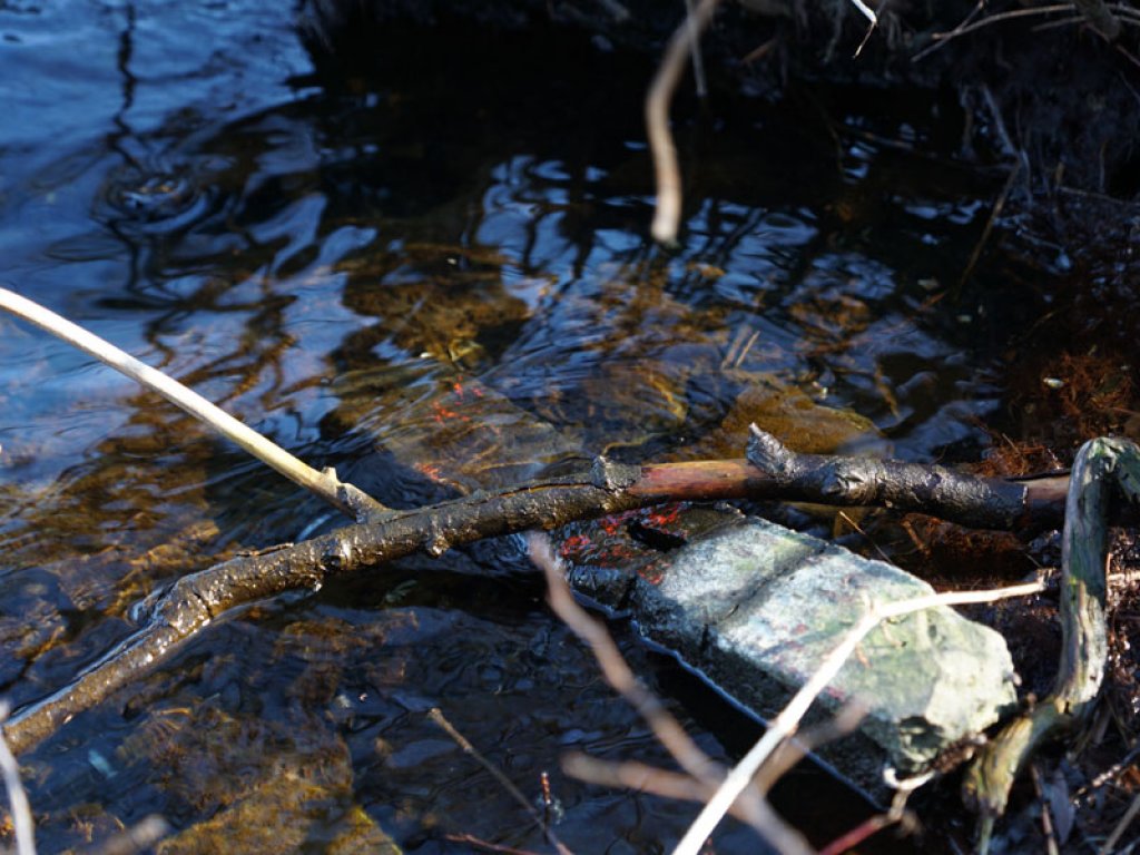 Grenzmarkierungspfosten der DDR am Ufer der Halbinsel Meedehorn bei Sacrow; Aufnahme 2015