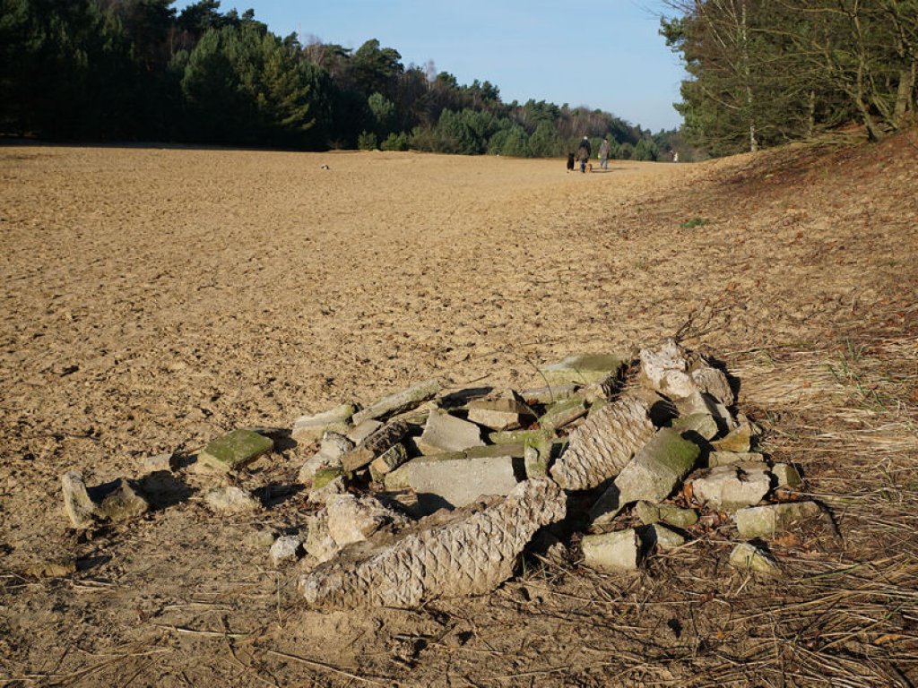 Mauerbetonbrocken im Todesstreifen nördlich von Glienicke Nordbahn; Aufnahme 2015
