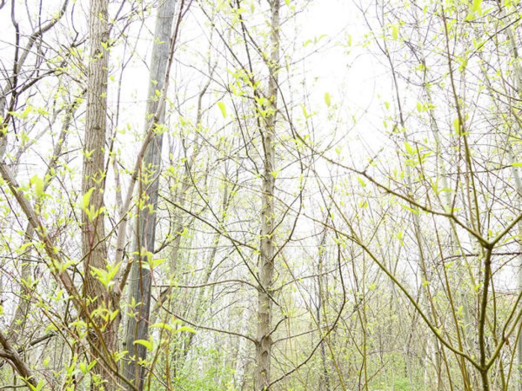 Bogenlampe zur Sicherung des Grenzgebiet-Vorfeldes in Wilhelmsruh; Aufnahme 2015