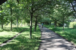 Kolonnenweg und mit Kirschbäumen bepflanzter Todesstreifen nördlich der Bösebrücke; Aufnahme 2016