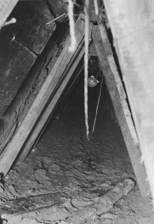 Das Bild ist frontal in die dreieckige Tunnelöffnung aufgenommen. Der Boden ist schlammig, an den Stützbalken hängt eine Lampe.