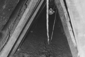 Der „Tunnel 29" – ein logistisches Meisterstück, durch den 29 Personen im September 1962 in den Westen fliehen