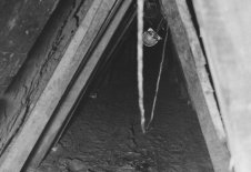 Der „Tunnel 29" – ein logistisches Meisterstück, durch den 29 Personen im September 1962 in den Westen fliehen