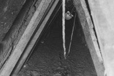 Das Bild ist frontal in die dreieckige Tunnelöffnung aufgenommen. Der Boden ist schlammig, an den Stützbalken hängt eine Lampe.