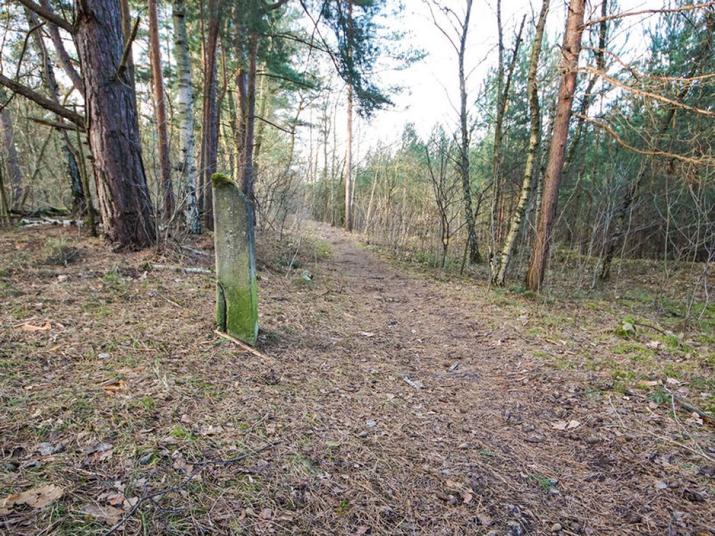 West-Berliner Grenzmarkierungspfosten zwischen Berlin-Frohnau und Bergfelde; Aufnahme 2015