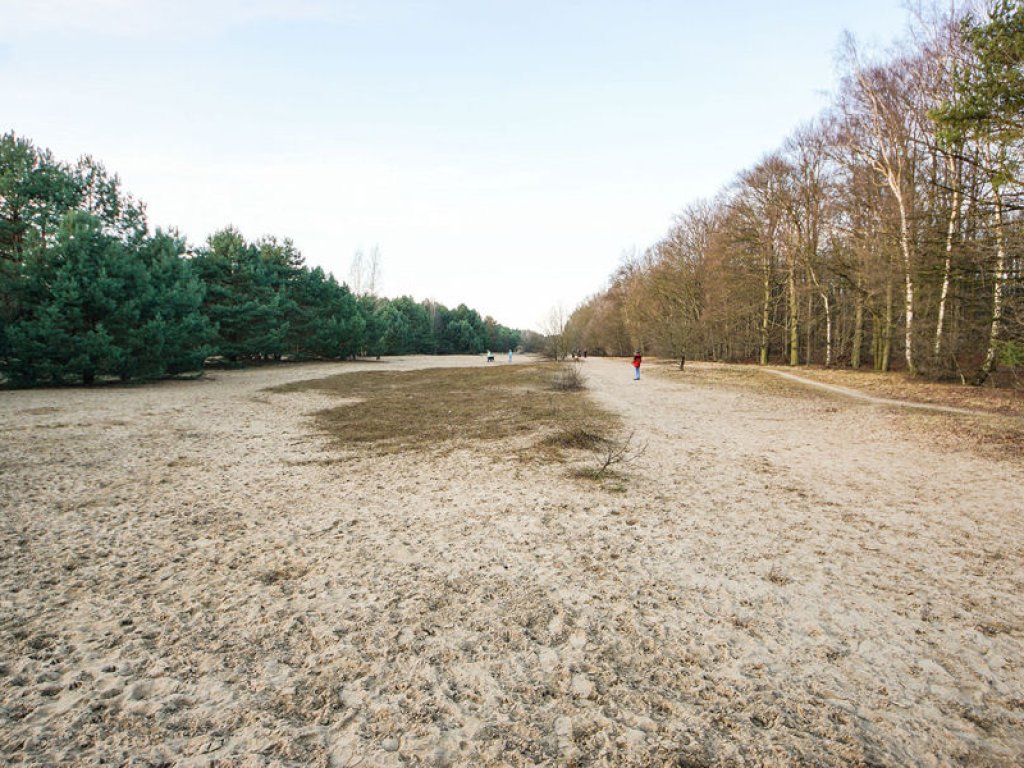 Sandwüste: Todesstreifen nördlich von Glienicke Nordbahn (1); Aufnahme 2015