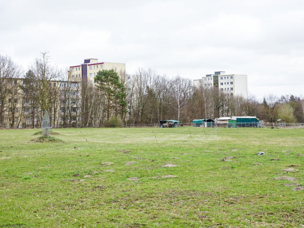 Pferdekoppel im Todesstreifen der DDR-Grenzanlagen zwischen Kleinmachnow und Berlin-Düppel; Aufnahme 2015