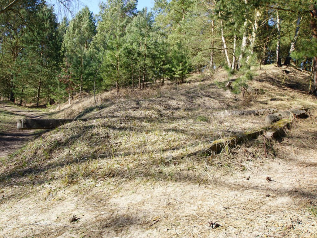Betonpfähle der Sperranlagen am Rande des Todesstreifens der DDR-Grenzanlagen zwischen Berlin-Düppeler Forst und Dreilinden; Aufnahme 2015