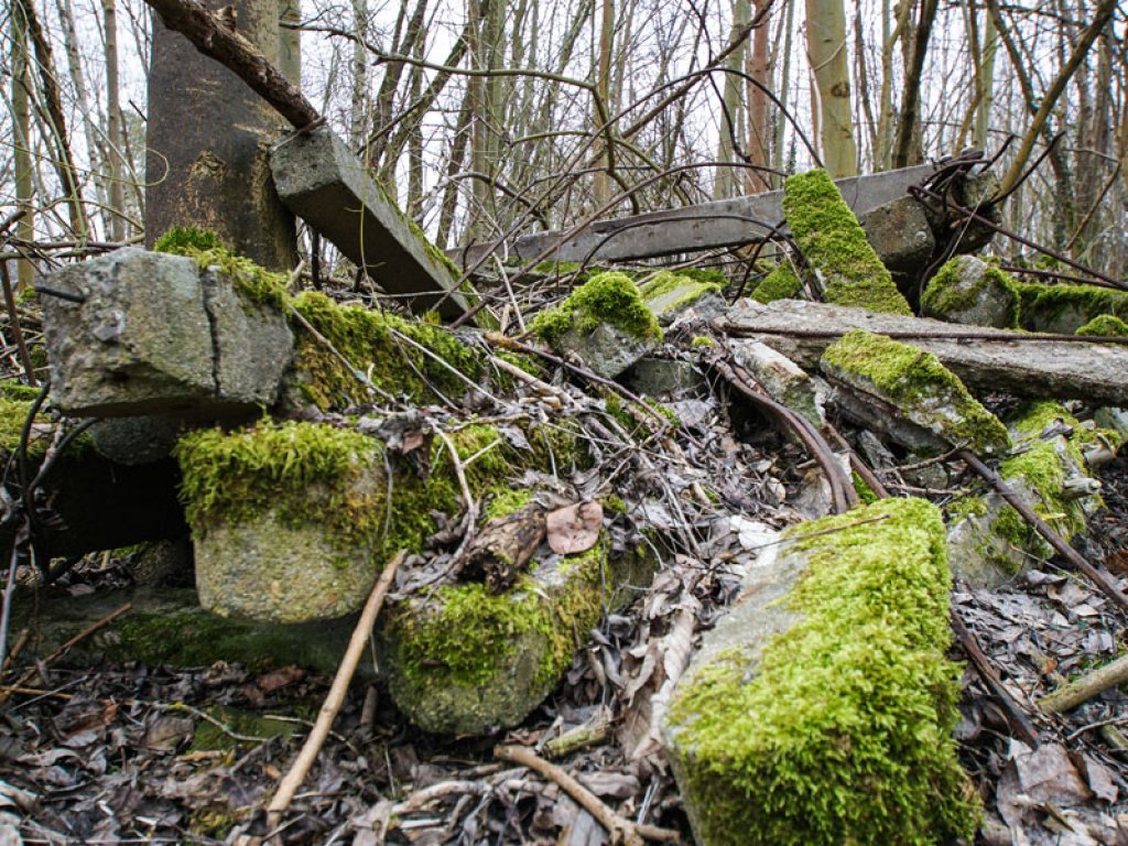 Grenzzaunpfosten der DDR-Grenzanlagen im Wald nördlich von Groß Glienicke (2); Aufnahme 2015