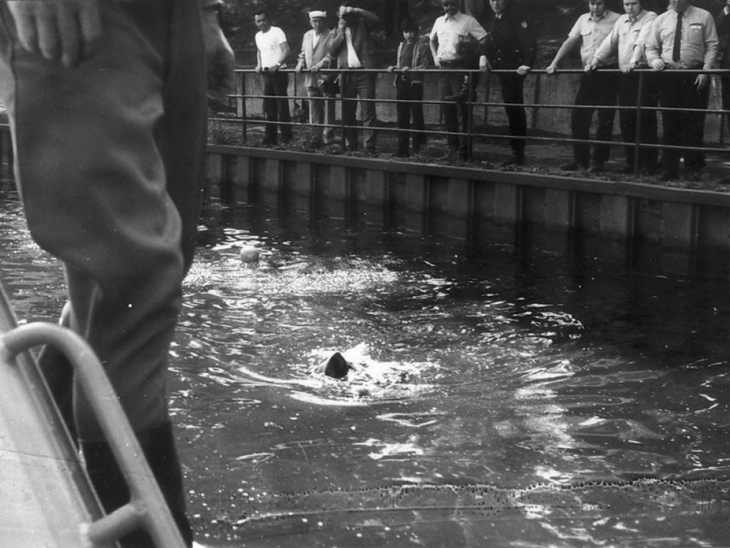 Giuseppe Savoca, drowned in the Berlin border waters: East German border troop photo – Searching for the drowned child [June 15, 1974]