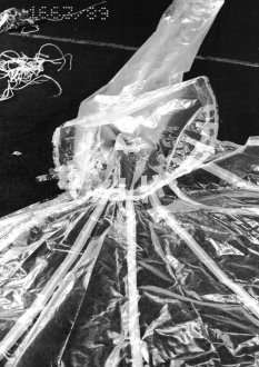 Winfried Freudenberg, fatally injured when the balloon he used to escape over the Berlin Wall crashed: Escape balloon foil
