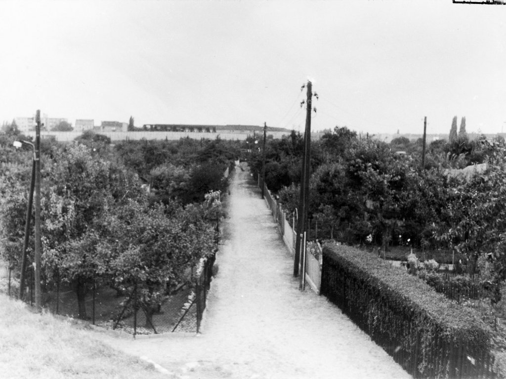 Annäherung durch die Kleingartenkolonie „Bornholm 1“: Gelungene Flucht über den Grenzübergang Bornholmer Straße, 2. September 1986