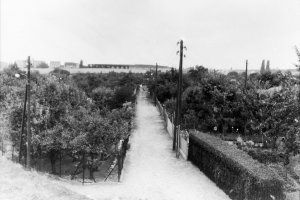 Annäherung durch die Kleingartenkolonie „Bornholm 1“: Gelungene Flucht über den Grenzübergang Bornholmer Straße, 2. September 1986