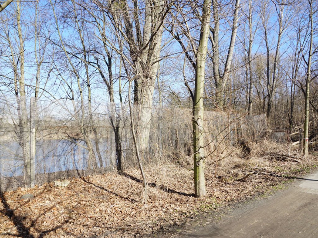 Streckmetallgitterzaun als vorderstes Sperrelement der DDR-Grenzanlagen am Teltowkanal zwischen Teltow-Seehof und Berlin-Lichterfelde (6); Aufnahme 2015  Streckmetallgitterzaun als vorderstes Sperrelement der DDR-Grenzanlagen am Teltowkanal zwischen Teltow-Seehof und Berlin-Lichterfelde (6); Aufnahme 2015