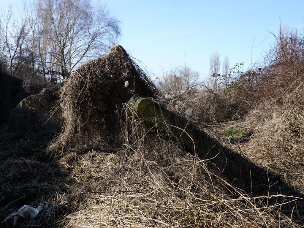 Umgestürzte und einkokonierte Betonpfosten des vordersten Sperrzaunes der DDR-Grenzanlagen am Teltowkanal zwischen Teltow-Seehof und Berlin-Lichterfelde; Aufnahme 2015 Umgestürzte und einkokonierte Betonpfosten des vordersten Sperrzaunes der DDR-Grenzanlagen am Teltowkanal zwischen Teltow-Seehof und Berlin-Lichterfelde; Aufnahme 2015
