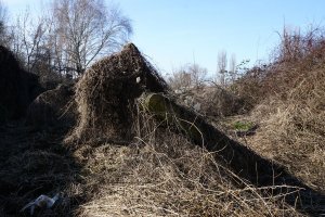 Umgestürzte und einkokonierte Betonpfosten des vordersten Sperrzaunes der DDR-Grenzanlagen am Teltowkanal zwischen Teltow-Seehof und Berlin-Lichterfelde; Aufnahme 2015