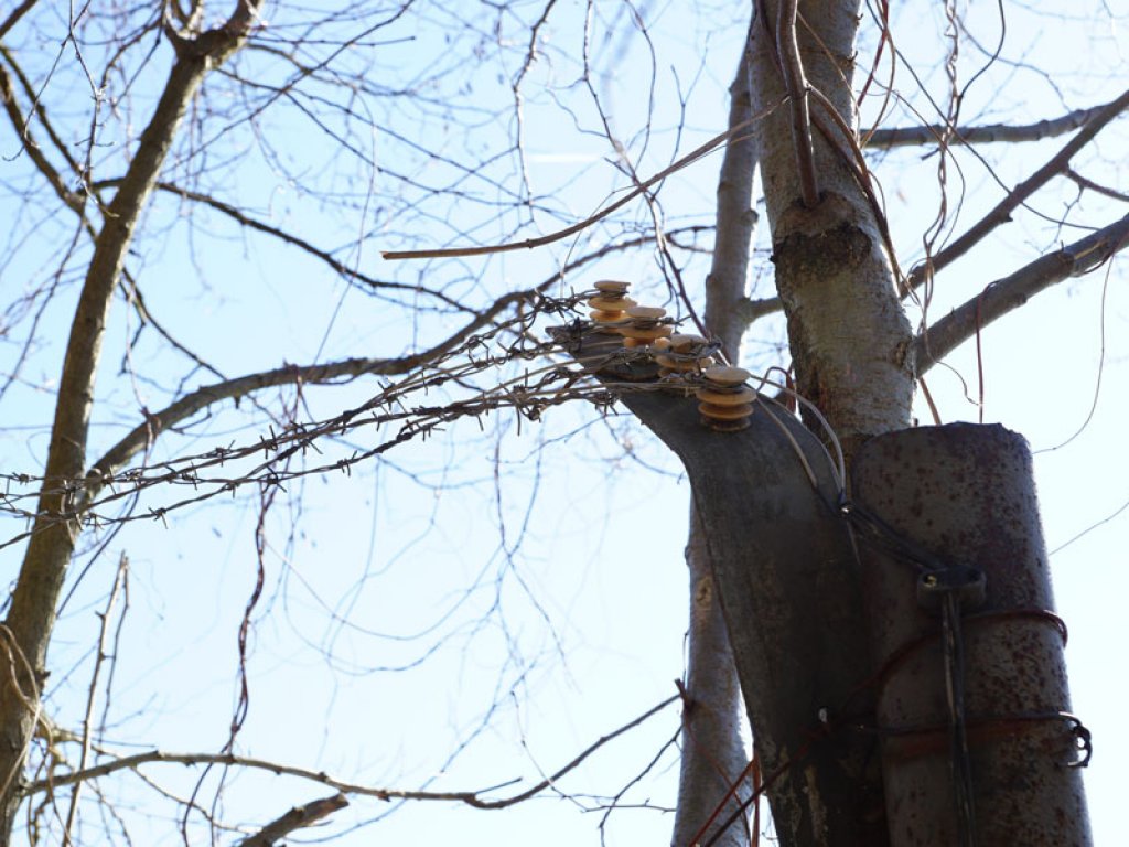 Sicherungszaun des DDR-Wasser-Grenzübergangs Dreilinden am Teltowkanal (2); Aufnahme 2015