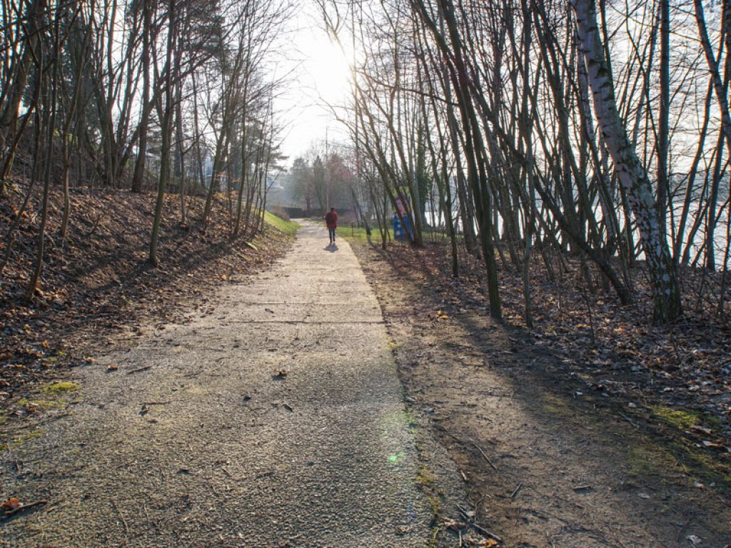 Frisch asphaltierter Kolonnenweg der DDR-Grenzanlagen am Griebnitzsee in Potsdam-Babelsberg; Aufnahme 2015