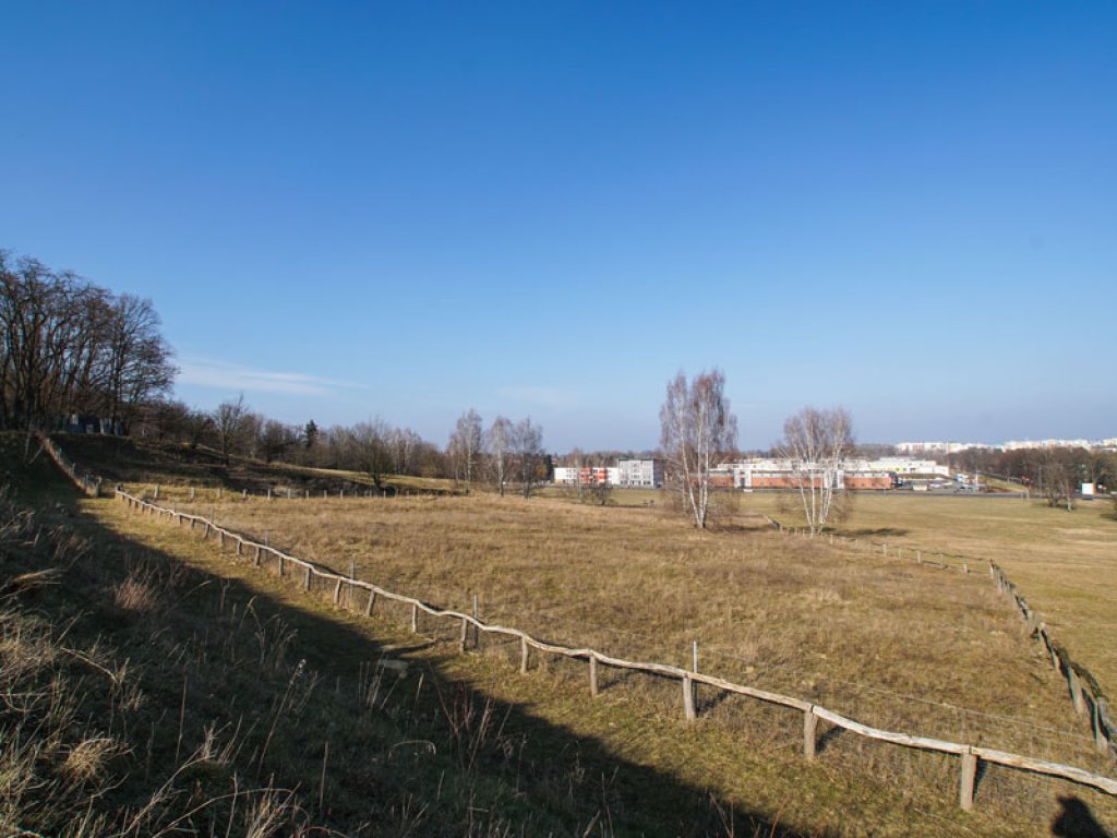 Ehemaliger Todesstreifen in Richtung des DDR-Grenzübergangs Staaken; Aufnahme 2015