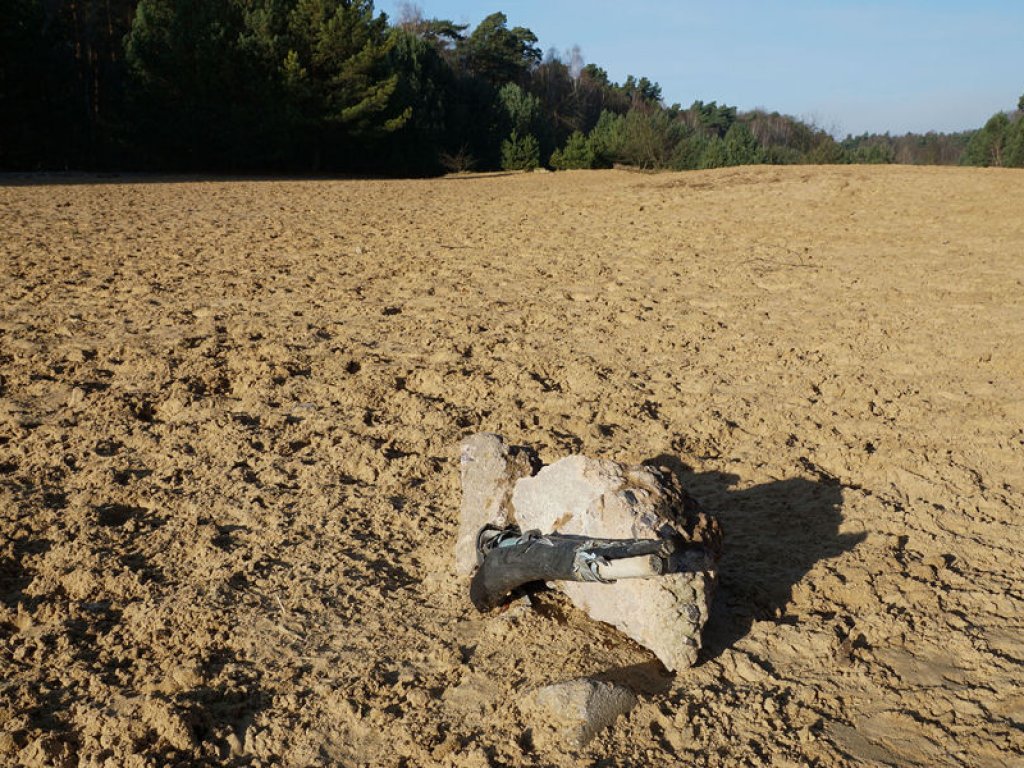 Stromkabelrest und Mauerbetonbrocken im Todesstreifen nördlich von Glienicke Nordbahn; Aufnahme 2015