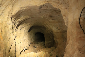 Der Tunnel ist unregelmäßig bogenförmig in den ockerbraunen Lehmmergel gehauen. Auf dem Boden liegen einige größere Lehmbrocken. Zur Bildmitte hin verjüngt sich der Tunnel, gegen hinten dunkler werdend, zu einem schwarzen Loch.