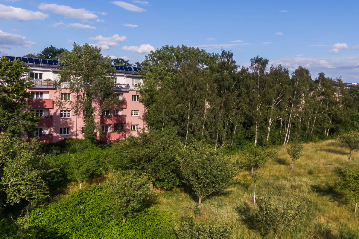 Zwischen Teltow-Seehof und Lichterfelde-Süd, Ostpreußendamm / Philipp-Müller-Allee (heute Lichterfelder Allee