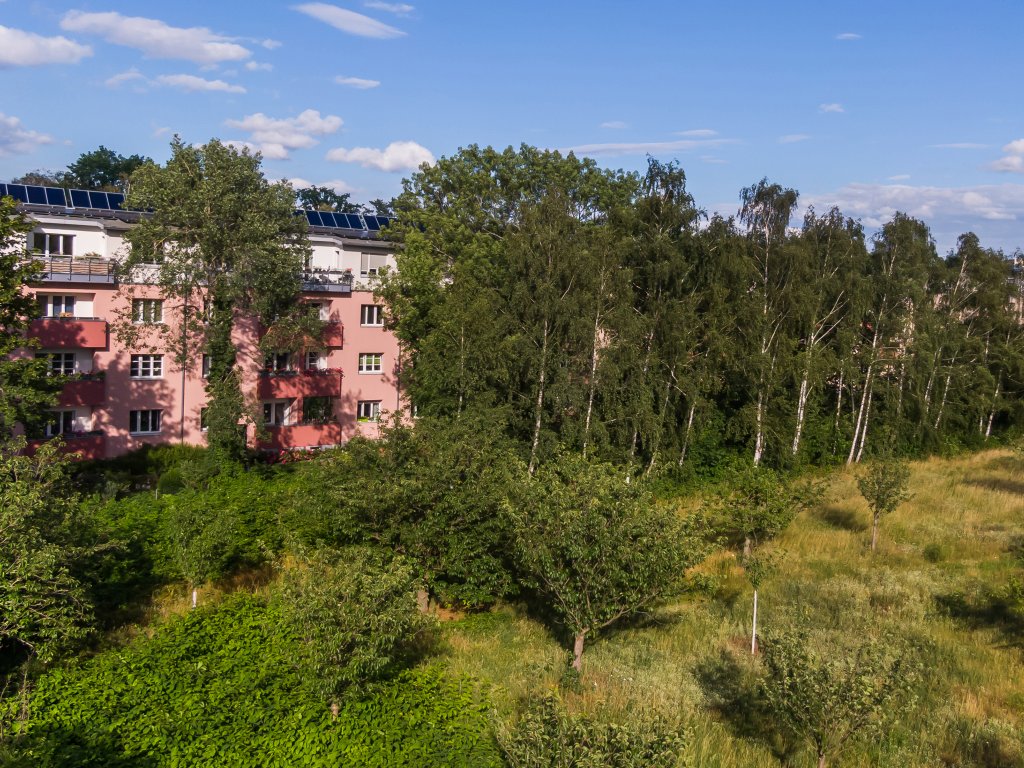 Zwischen Teltow-Seehof und Lichterfelde-Süd, Ostpreußendamm / Philipp-Müller-Allee (heute Lichterfelder Allee