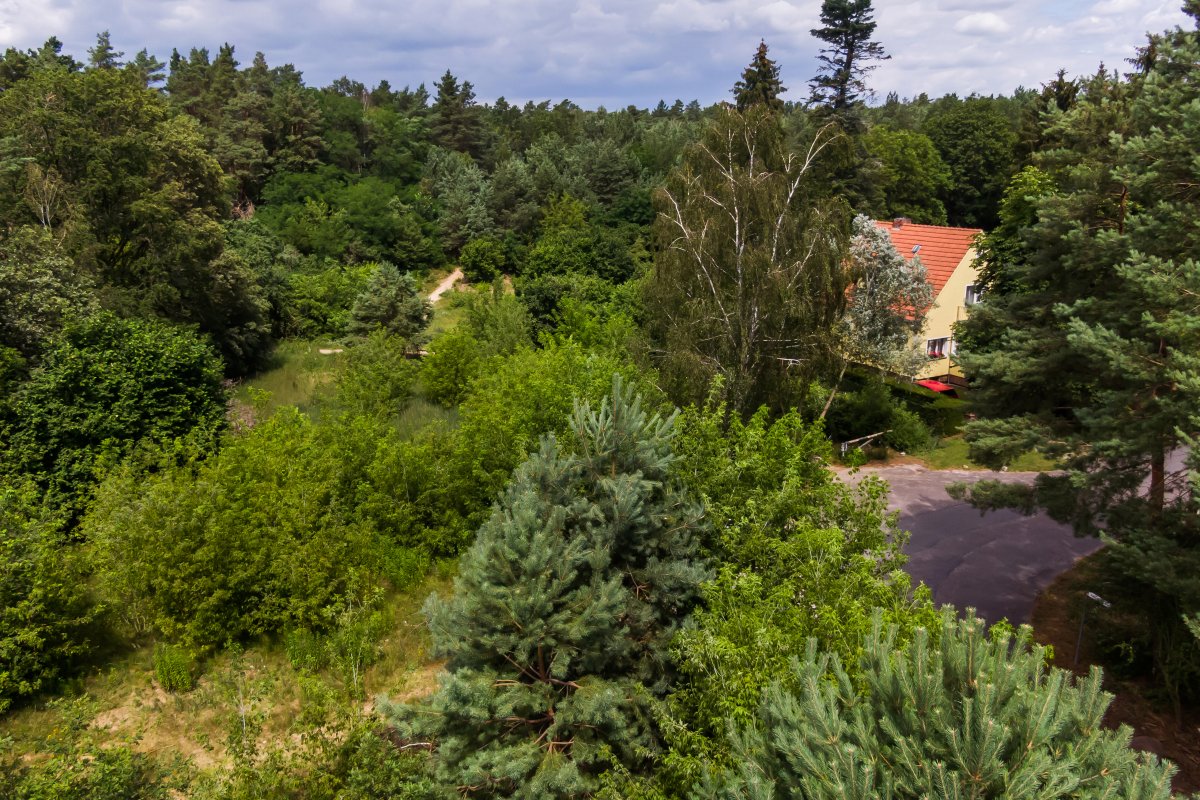Am Teerofendamm in der Kolonie Dreilinden. Blick Richtung Norden Am Teerofendamm in der Kolonie Dreilinden. Blick Richtung Norden