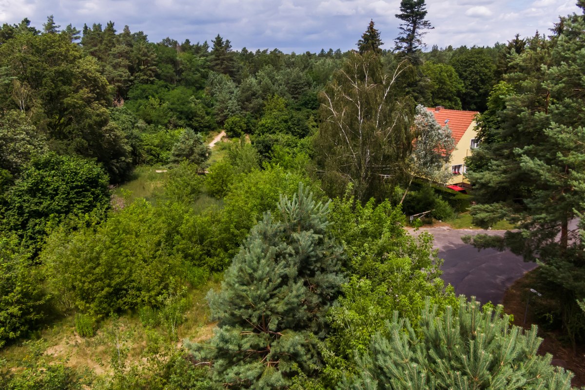 Am Teerofendamm in der Kolonie Dreilinden. Blick Richtung Norden