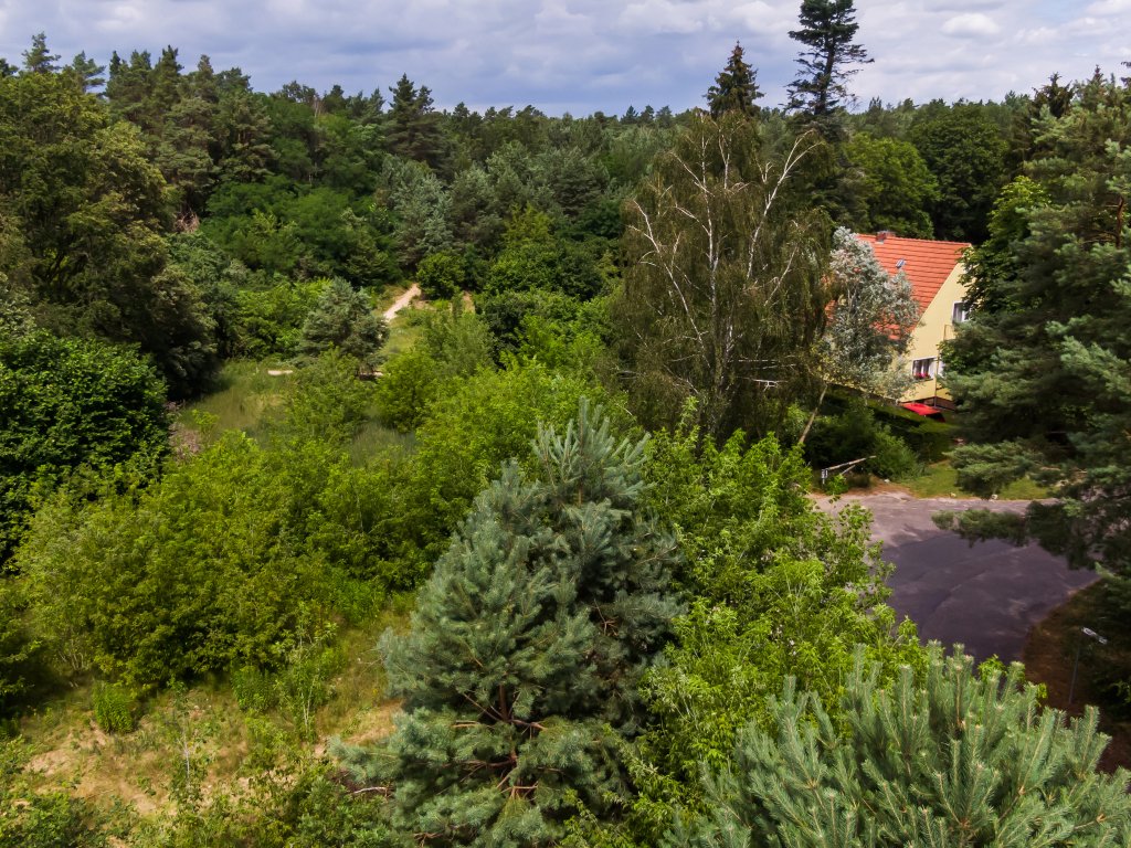 Am Teerofendamm in der Kolonie Dreilinden. Blick Richtung Norden
