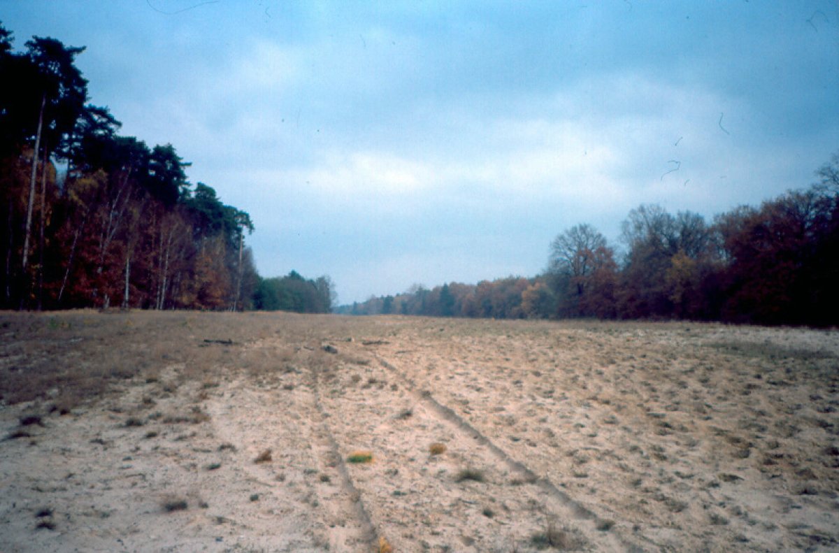 Der Grenzstreifen nahe Dreilinden Anfang der 90er Jahre