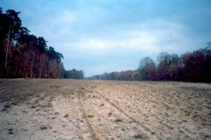 Der Grenzstreifen nahe Dreilinden Anfang der 90er Jahre