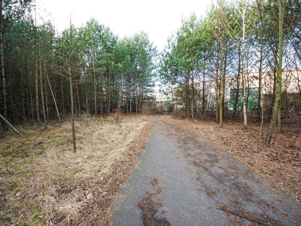 Kolonnenweg der DDR-Grenztruppen im Todesstreifen bei Bergfelde; Aufnahme 2015