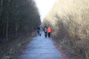 Kolonnenweg und aufgeforsteter Todesstreifen der DDR-Grenzanlagen zwischen Mahlow-Waldblick und Berlin-Lichtenrade; Aufnahme 2015