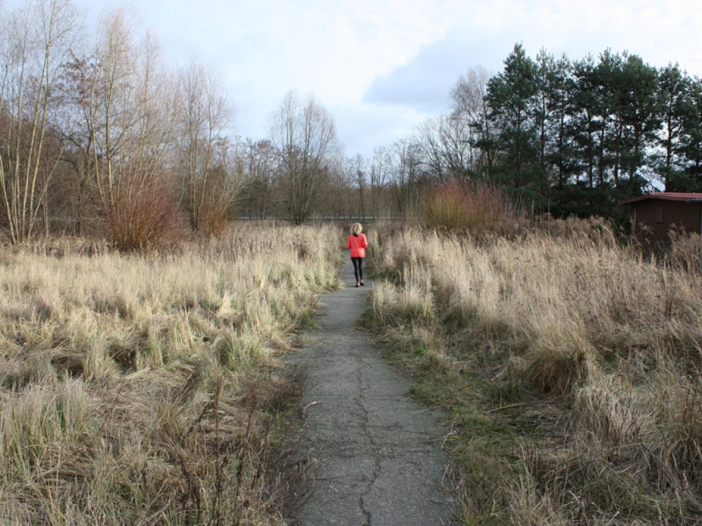 Verwilderter Todesstreifen mit Kolonnenweg der DDR-Grenztruppen zwischen Mahlow-Waldblick und Berlin-Lichtenrade; Aufnahme 2015