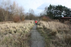 Verwilderter Todesstreifen mit Kolonnenweg der DDR-Grenztruppen zwischen Mahlow-Waldblick und Berlin-Lichtenrade; Aufnahme 2015