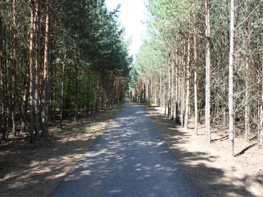Kolonnenweg der DDR-Grenztruppen zwischen Nieder Neuendorf und Berlin-Spandau; Aufnahme 2015
