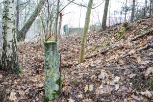 Betonpfosten im ehemaligen DDR-Grenzgebiet in Stolpe-Süd; Aufnahme 2015