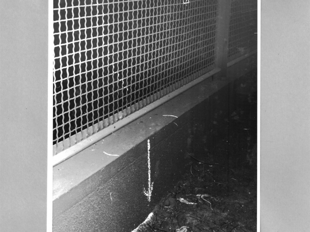 Hans-Dieter Wesa, shot dead at the Berlin Wall: West Berlin police crime site photo of the escape route [Aug. 23, 1962]