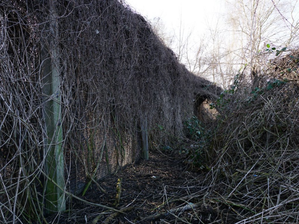 Einkokonierter Streckmetallgitterzaun als vorderstes Sperrelement der DDR-Grenzanlagen am Teltowkanal zwischen Teltow-Seehof und Berlin-Lichterfelde; Aufnahme 2015