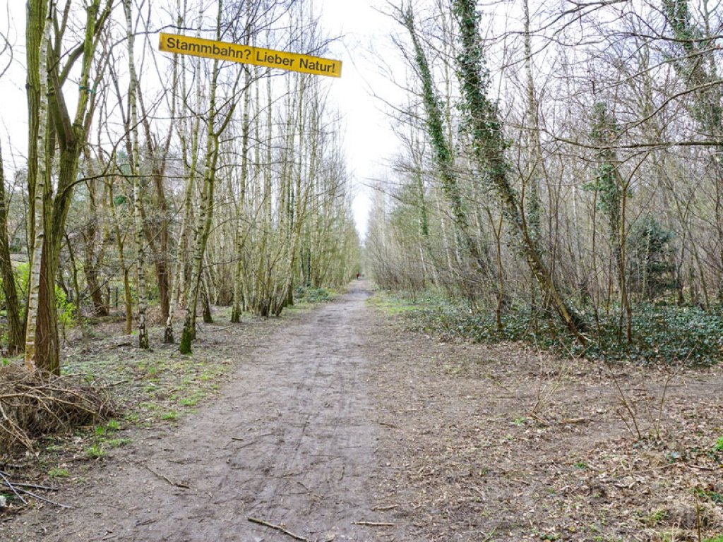 Protest in Kleinmachnow gegen Pläne, das heutige Erholungsgebiet – und den früheren Todesstreifen – für die Wiederinbetriebnahme der „Stammbahn“ als Verkehrsmittel umzuwidmen; Aufnahme 2015