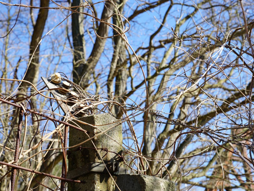 Sicherungszaun des DDR-Wasser-Grenzübergangs Dreilinden am Teltowkanal (3); Aufnahme 2015