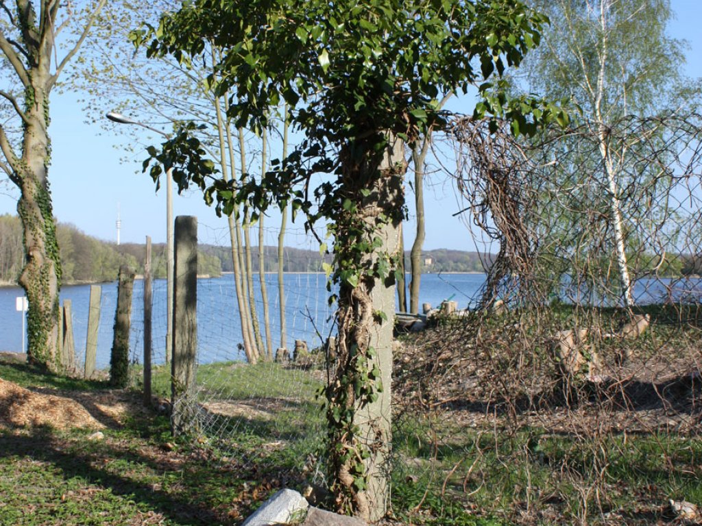 Betonpfosten der Umzäunung des DDR-Wasser-Grenzübergangs Nedlitz in Potsdam; Aufnahme 2015