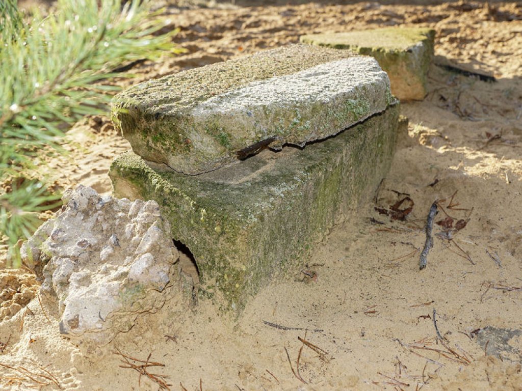 Kabelschacht-Reste im Todesstreifen nördlich von Glienicke Nordbahn; Aufnahme 2015