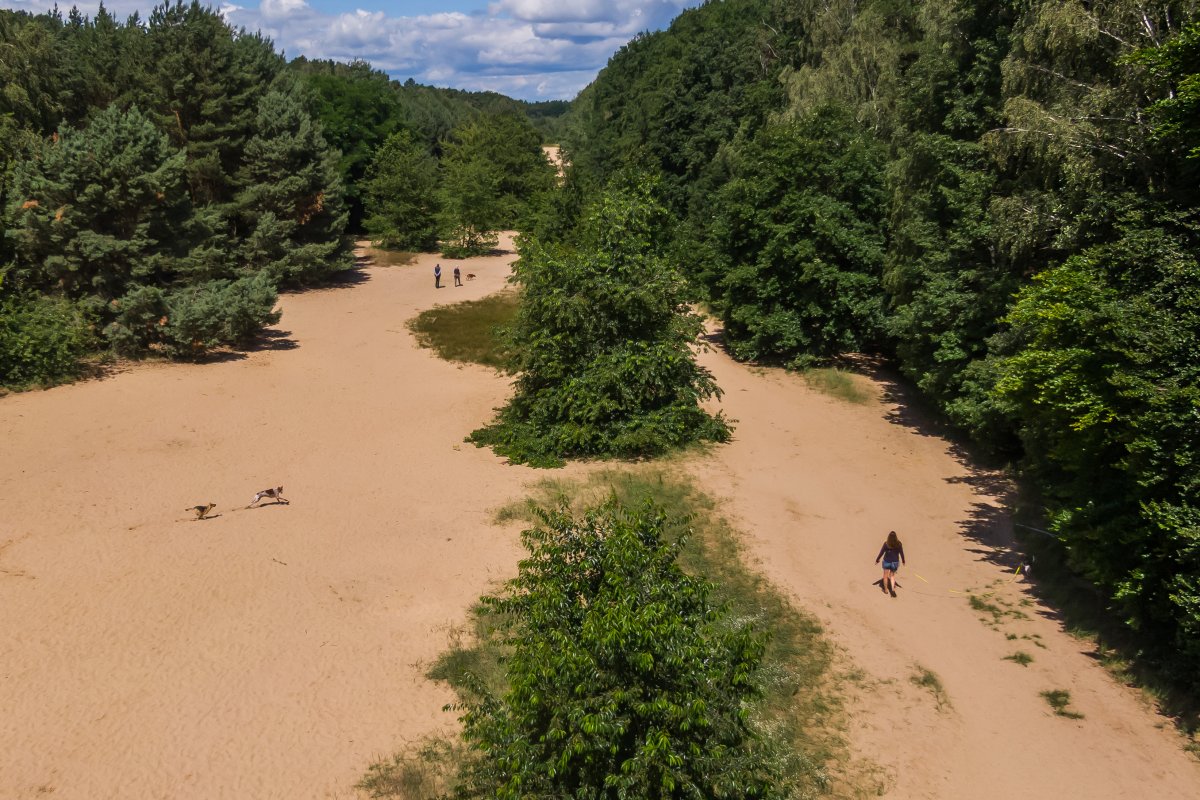 Zwischen Frohnau und der Bieselheide, nördlich von Glienicke-West