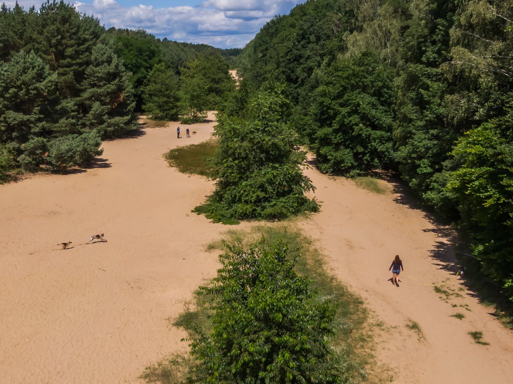 Zwischen Frohnau und der Bieselheide, nördlich von Glienicke-West